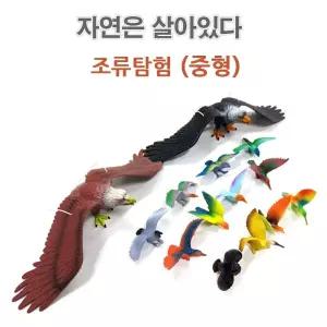조류탐험 자연은살아있다 모형완구 공룡완구 공룡모형 (중형)  [mFFYDSQ]