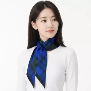 버버리 Skinny Checkered Silk Scarf 8083558) 스키니 체크 실크 스카프)