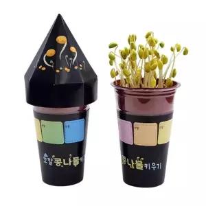 꼬깔 콩나물재배 키우기 가정용 관찰 새싹 시루 채소 발아 기르기 수경 모종컵 재배기