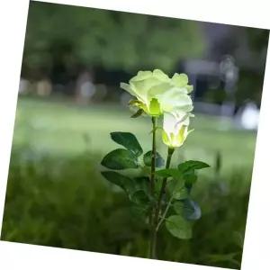 Coms 태양광 장미 600mAh 정원등 White 야외조명 LED