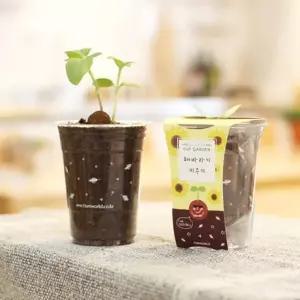 시리즈 화분 방울토마토 바질 컵 DIY 씨앗 가든 관찰 학습 반려식물 일지