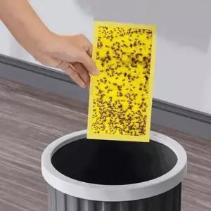 초파리트랩 양면 끈끈이 20x25cm 10P/날파리 없애는법 나방 모기 권연 바퀴벌레 화곡동나방 퇴치기 박멸