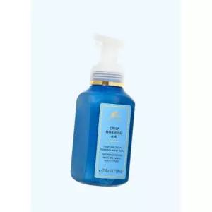 배스앤바디웍스 화이트반 젠틀 앤 클린 크리스프 모닝에어 포밍 핸드워시 259ml 001 2603839690 5010270
