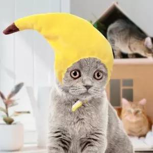 [반려] 펫 해피파티 모자 애견용품 고양이 바나나 강아지 강아지모자 애완모자