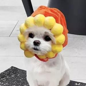 [반려] 해피파티 모자 펫 고양이 해바라기 애견용품 강아지 강아지모자 애완모자