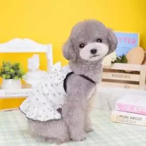 [반려] 반려견 귀여운 리본 포인트 데일리 산책 스커트 코디 애견의류 반려견옷