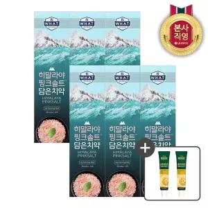 [온가족 여름치약] 히말라야핑크솔트 담은 치약 아이스 카밍 민트 100g x 6개