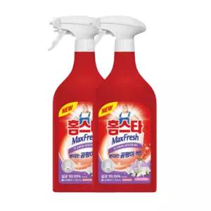 홈스타 뿌리는곰팡이싹 곰팡이제거제 750ml 2개
