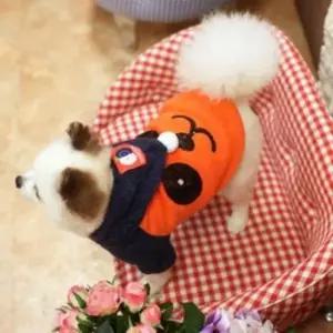[반려] 패리스독 팬더 오렌지 니트 강아지 고양이 후드티 L