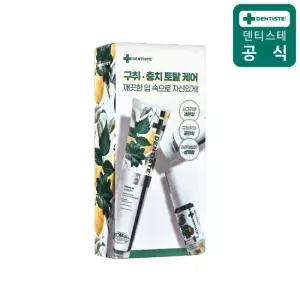 덴티스테 치약 시트러스후레쉬 200g 2개+구강스프레이 마일드 후레쉬 블라스트15ml 입냄새제거 불소