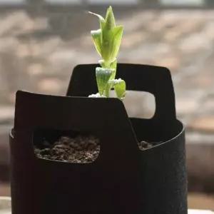 [콩심팥심]블랙 부직포 화분 가정용 재배 농작물 도시텃밭 텃밭만들기 5p 18x15cm