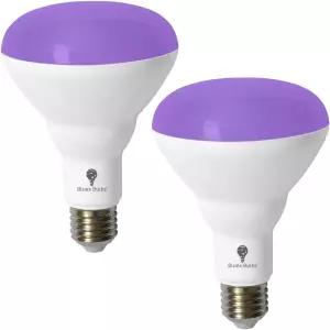 BR30 블랙 전구 2팩 LED 13W 100W 등가 E26 글로우 인 더 다크 레벨 385-400nm 라이트 파티용 바디 페인트