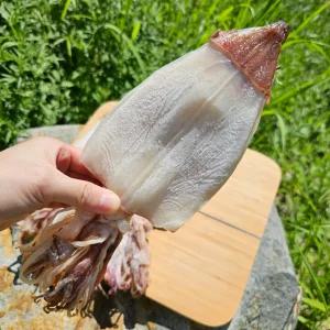 김봉봉건어물 1등급 마른 건 한치 M L 화살 오징어 1kg