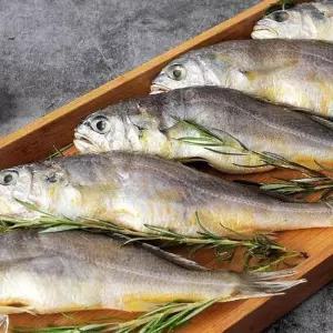 삼삼한 맛있는 굴비 프리미엄 2호 선물세트 (10미/1.3kg)