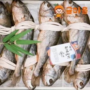 영광 부세 보리굴비 중 (30-31cm) 2.3kg내외
