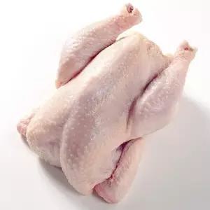프리미엄 오리생고기 백숙용 통오리 2kg내외