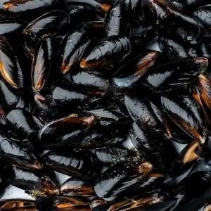 국내산 제철 홍합 2kg 180미 내외