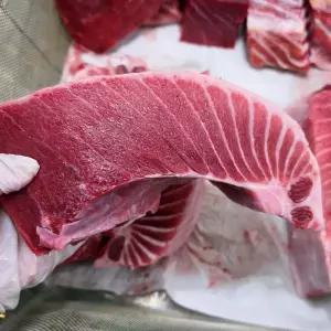 국내산 참치 뱃살 회 500g 필렛 원물 200kg