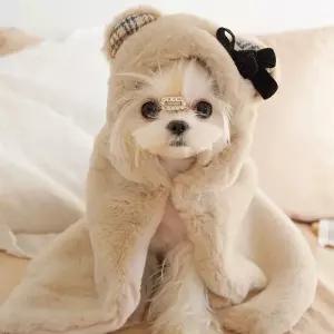 두우둥 강아지망토담요 이불 강아지 노랑 담요 숄