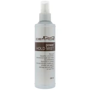 소망 엠세라드 파워 홀드 미스트 250ml