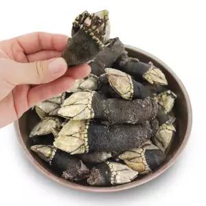 [롯데백화점]인정식탁 춘백이네어부장터 자연산 거북손 1kg (냉동)