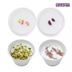 씨가 싹트는 조건 알아보기(4인세트) 무씨앗 강낭콩 과학실험 교구 과학준비물 씨앗키우기 발아