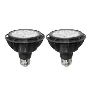블링라이트 VO LED PAR30 집중형 컨버터 내장형 램프 15W, 주광색, 2개MP