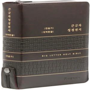 개역한글판 큰글자 성경전서 통일찬송가 (대/합본/색인/지퍼/PU/다크브라운) [Xtr]