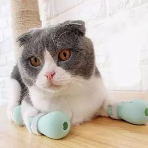고양이 실리콘 신발 고양이발 발톱 부츠 반려동물 보호 목욕 케어