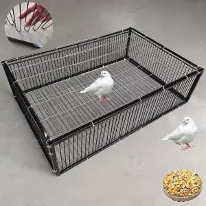 비둘기 포획기 조류 철제 케이지 야외 새? 과수 트랩 40x40x26(4개입구)
