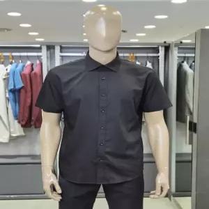 [브렌우드]레귤러핏 솔리드 반팔 셔츠 BRSDM26252BKX_CA