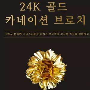 DK-SJ 골드 카네이션브로치