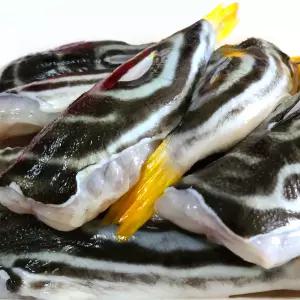 손질 복어 미니복 500g 보양식 탕거리 복어지리 남해안 까치복 참복 쫄복 랜덤발송