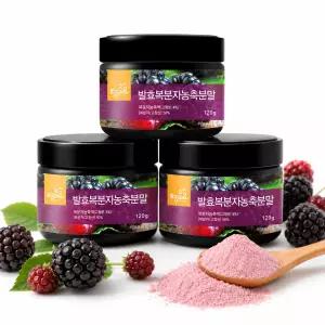 발효복분자농축분말 120g x 3개 고창복분자분말