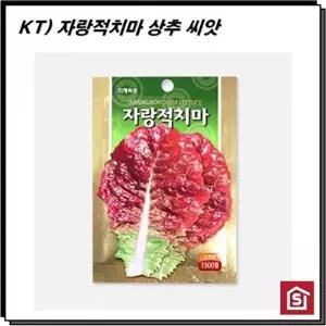 고품질 TBZ 모종 텃밭 가꾸기 자랑적치마 씨앗 1500립 씨앗재배 새싹씨앗 씨앗재배 씨앗키우기 WFNHVFU