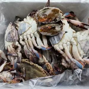[대용량] 국내산 급냉 활 암꽃게 5kg 게장 탕 찜