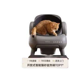 고양이 자동화장실 대형 청소 변소 오픈형 스마트