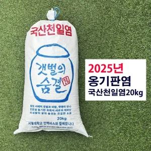 천일염 20kg 25년산 굵은 소금 간수뺀 소금