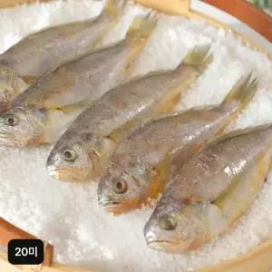 국내산 프리미엄 참굴비 20미(미당60~89g)