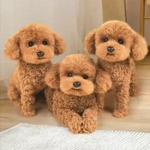 귀여운 푸들인형 리얼 애착 수면 퍼피 펫 테디 장식품 봉제 인형 모형 갈색 누워있는