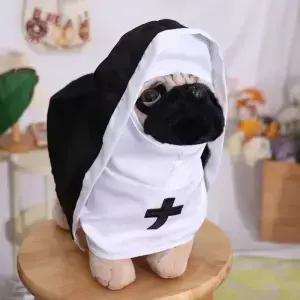 고양이 강아지 애완 동물 수녀 망토 역할 놀이 부드러운 할로윈 의상 블랙/화이트 통기성 코스프레 세트