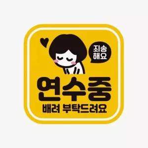 [RIZPICK]연수중 배려부탁 초보운전 스티커 차량 자동차 반사 고휘도 왕초보