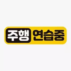 [RIZPICK]주행연습중 초보운전 자석스티커 차량용 고휘도 반사스티커