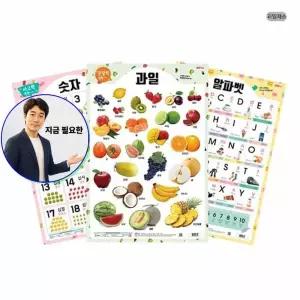 지금 필요한 라미에이스 양면학습벽보 공부 과일채소