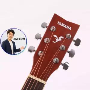 지금 필요한 드럼용3L 진드기제거 비트제로