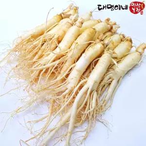 세척 인삼수삼 오쿠홍삼용 원수삼 믹서 20뿌리내외 대명이네인삼 선물세트 추석 친정 명절 가족 시댁