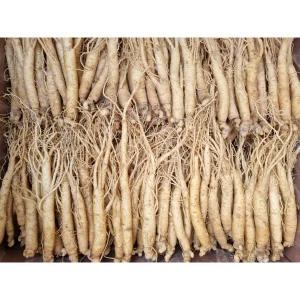 삼계탕용 삼계 무료세척 튀김용 백숙용 삼계용 업소용 500g 17 30뿌리 무료택배 1세트 선물세트 가족 추석
