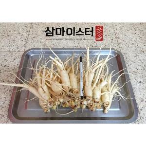 금산인삼 삼마이스터 가정용 업소용 세척수삼 5년근 6년근 파삼 난발삼소 500g 난발삼 소 무료세척 1개 선
