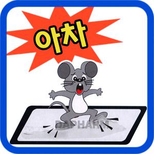 쥐끈끈이 모음 쥐덫 쥐덧 쥐트랩 쥐본드