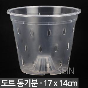 도트 통기난분 17호 - 화분 투명 난분 난 관엽 슬릿 호접란 동양 포트 플분 플라스틱 란 서양 동양 모종 심